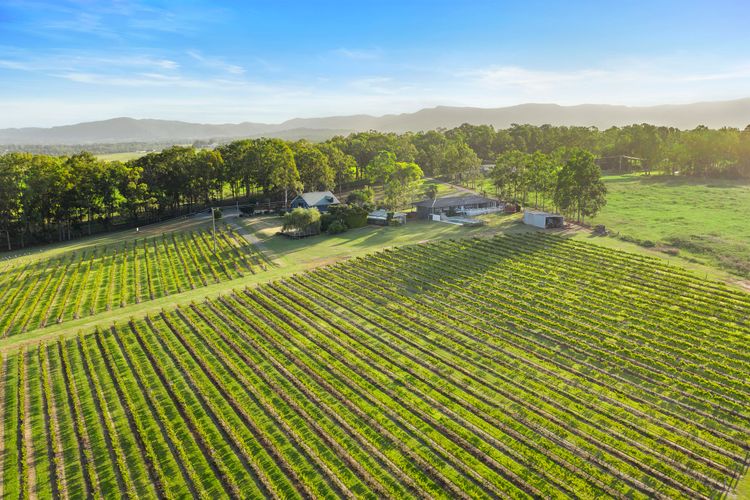 Palmers Lane Vineyard Estate and Retreat with Pool offers a large 6br home and 2br cottage