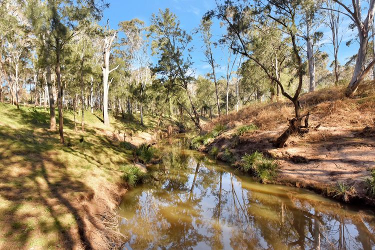 Wongaburra Luxury Homestead