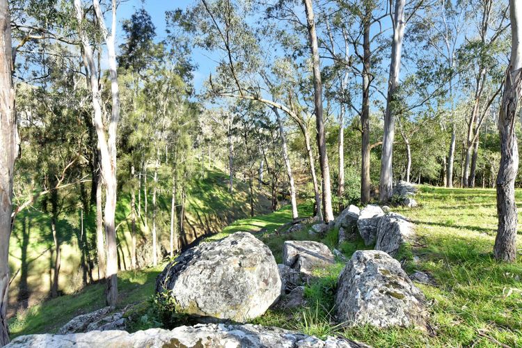 Wongaburra Luxury Homestead