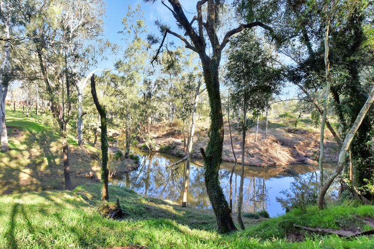 Wongaburra Luxury Homestead
