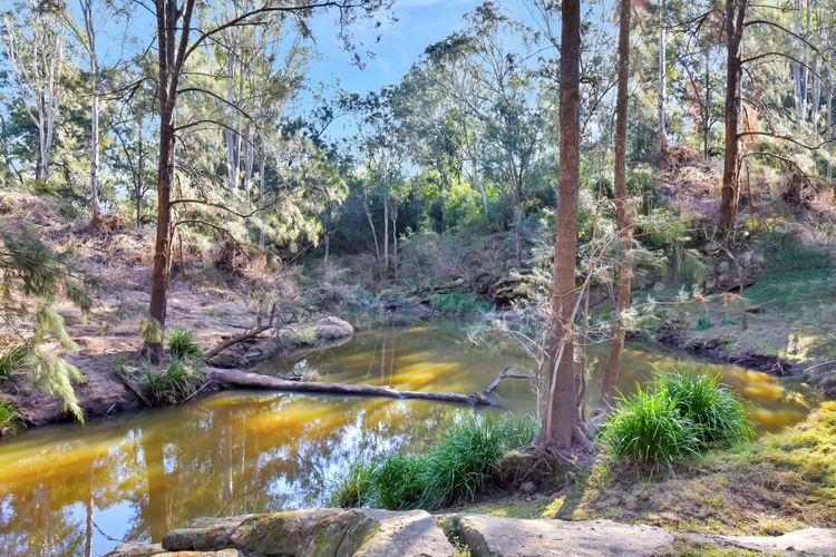 Wongaburra Luxury Homestead