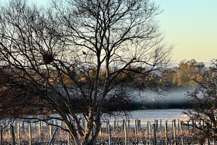 Bracken Ridge Vineyard – The Stables – Villa 1