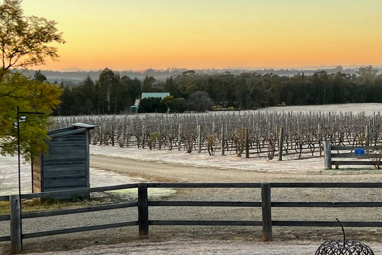 Bracken Ridge Vineyard – The Stables – Villa 1