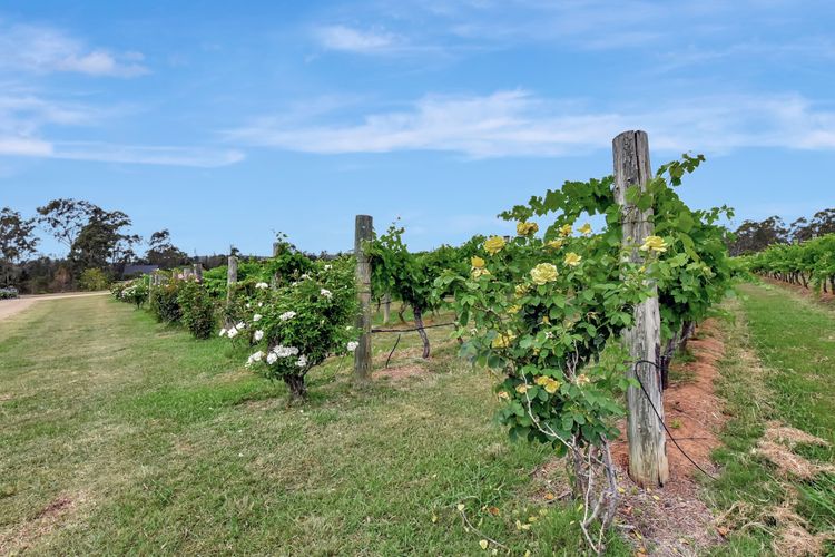 Bracken Ridge Vineyard – The Stables – Villa 1