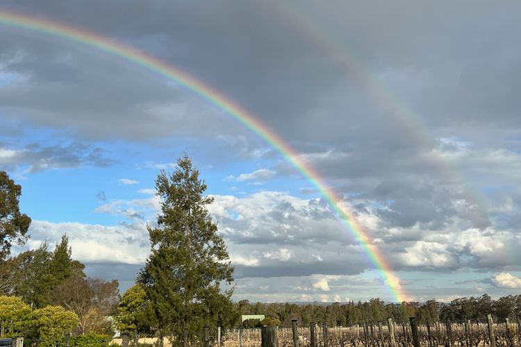 Bracken Ridge Vineyard – The Stables – Villa 1