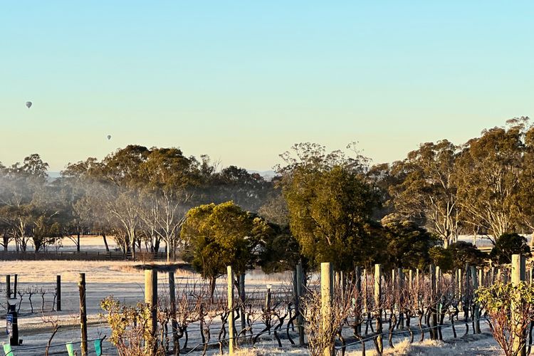 Bracken Ridge Vineyard – The Chetwynd – Villa 4