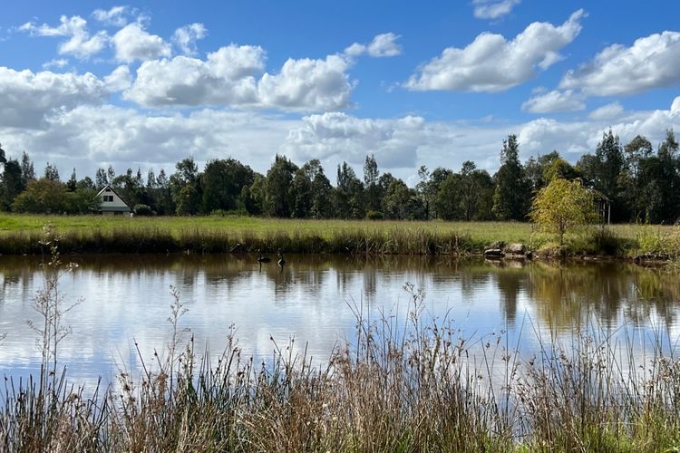 Bracken Ridge Vineyard – The Entire Estate