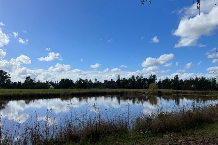 Bracken Ridge Vineyard – The Entire Estate