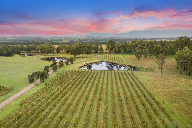 Bracken Ridge Vineyard – The Entire Estate