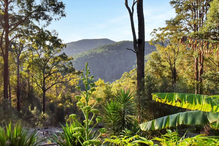 Misty Mountain Hideaway at Murrays Run ultra private rural escape with stunning views