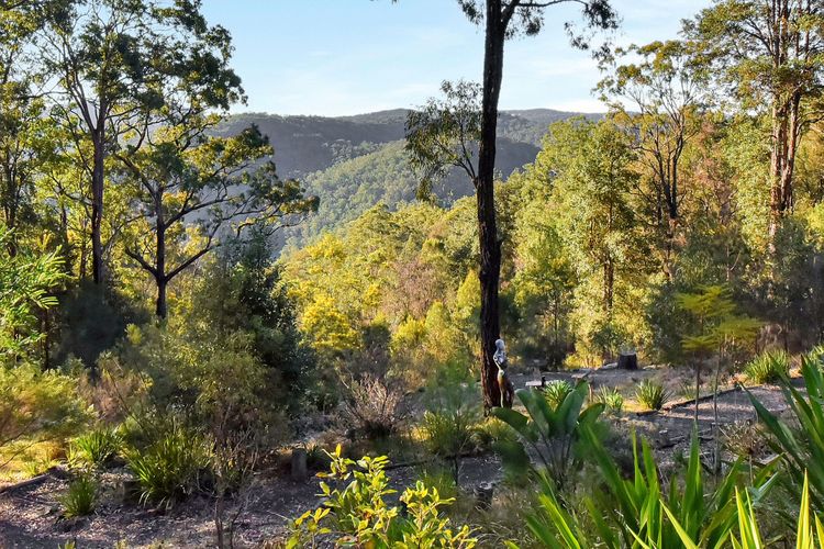 Misty Mountain Hideaway at Murrays Run ultra private rural escape with stunning views