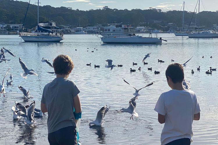 The Little Lake House at Rathmines waterfront on Lake Macquarie