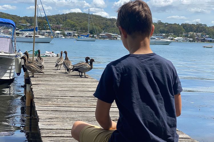 The Little Lake House at Rathmines waterfront on Lake Macquarie