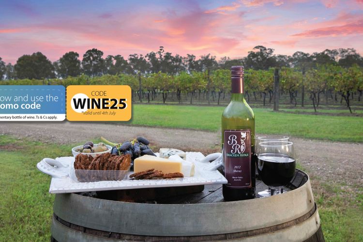 Molly Morgan Vineyard Villa Shiraz. Couples Retreat in the Hunter