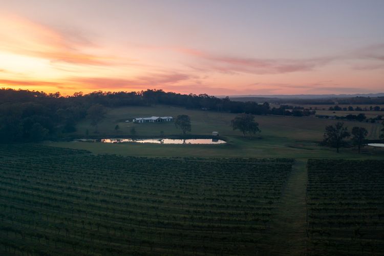 Molly Morgan Vineyard Villa Chardonnay. A Romantic Getaway for Two