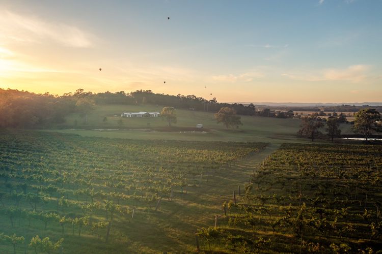 Molly Morgan Vineyard Villa Chardonnay. A Romantic Getaway for Two