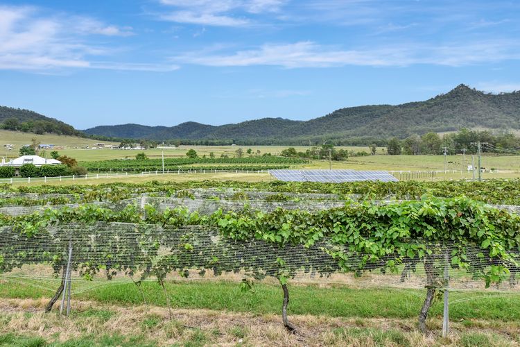 Somerville Wines Lux Escape – 3-Bedroom Cottage Near Broke Wineries