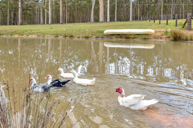 Sweet Leaf Heavenly Hideaway Family Retreat