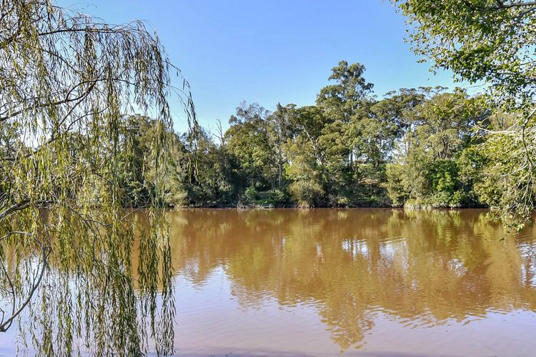 Overflow Downs-Riverside Acreage