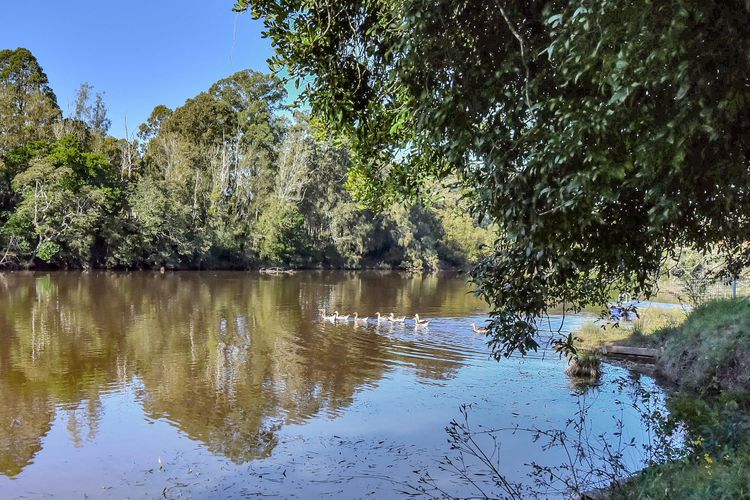 Overflow Downs-Riverside Acreage