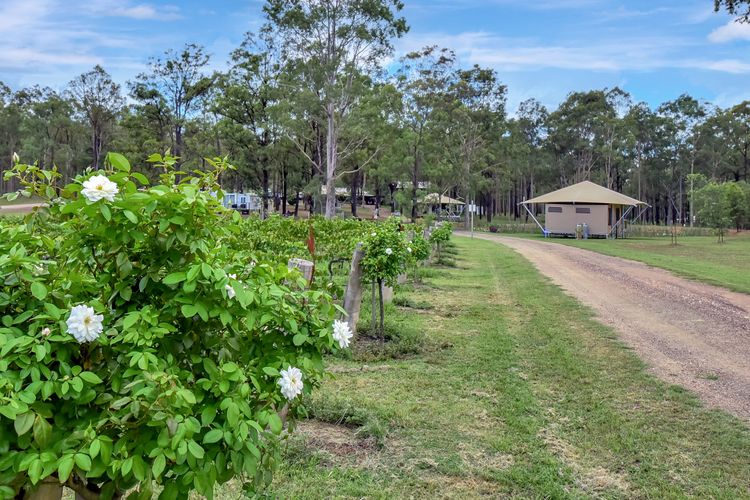 Pokolbin Glamping. Sleeps 6 across 3 eco-friendly glamping Tents