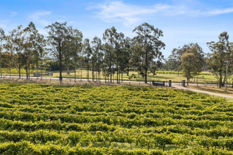 Semillon – Pokolbin Glamping uniquely showcases area’s beauty for 2