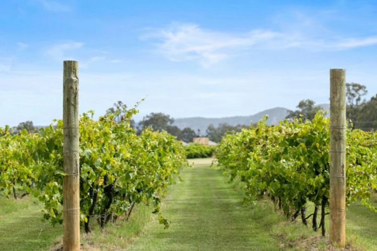 Semillon – Pokolbin Glamping uniquely showcases area’s beauty for 2