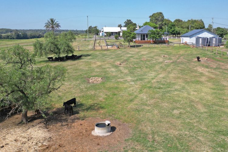 Stellaview Farmhouse, Newly Renovated in Heart of Hunter