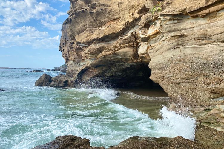 Salty Paws Caves Beach – Pet friendly