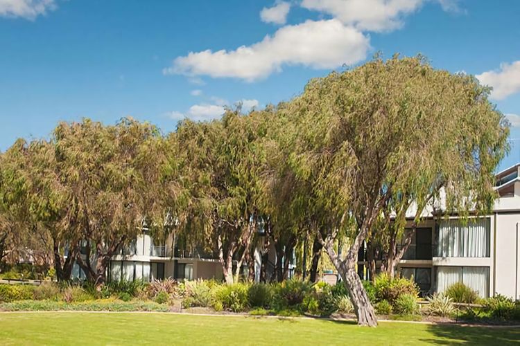 Sixteen at Cape View Escapes