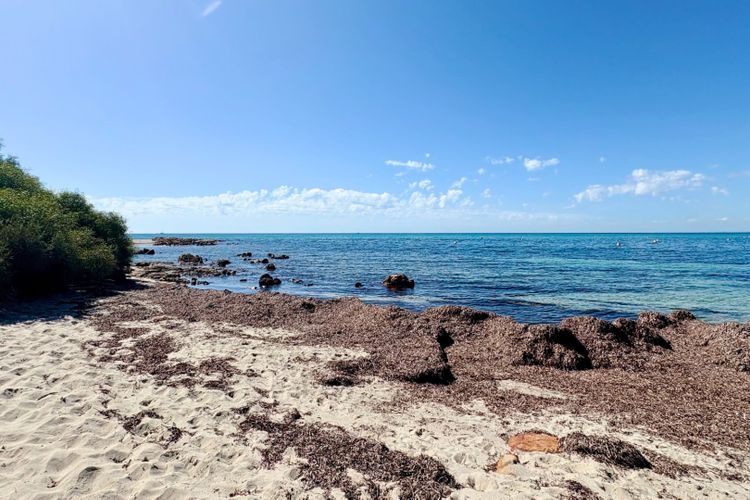 Zennor House – Busselton