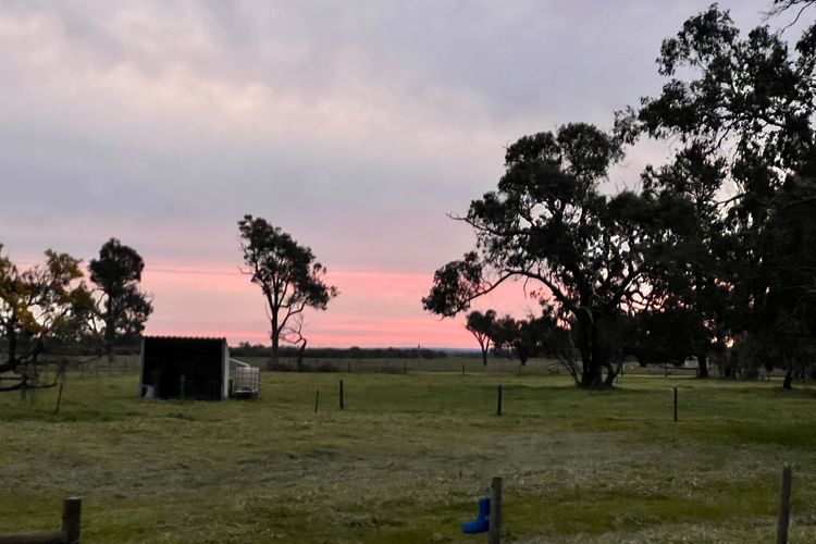 Chapman Hill Estate