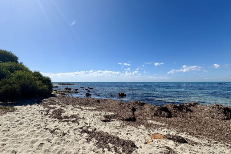 Dunsborough Delight