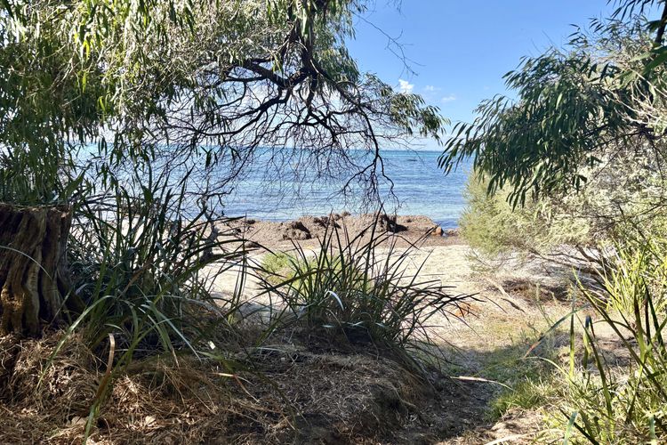 Dunsborough Delight