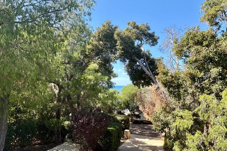 Dunsborough Delight