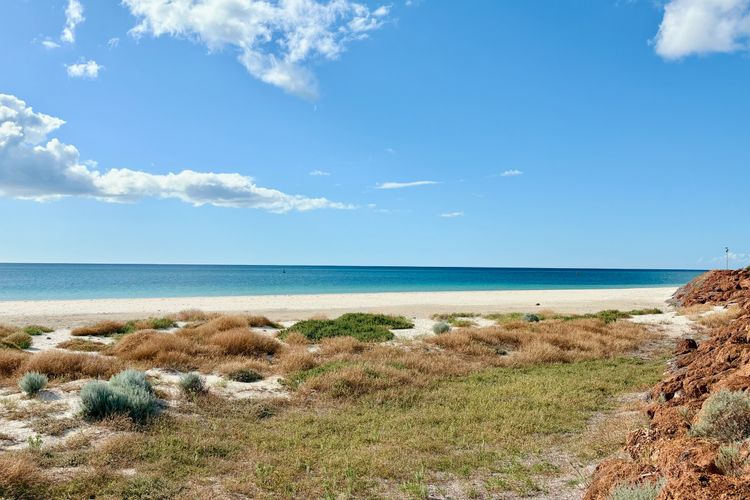 Galley Cove House