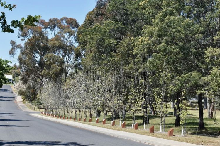 Nannup Rise Holiday Home