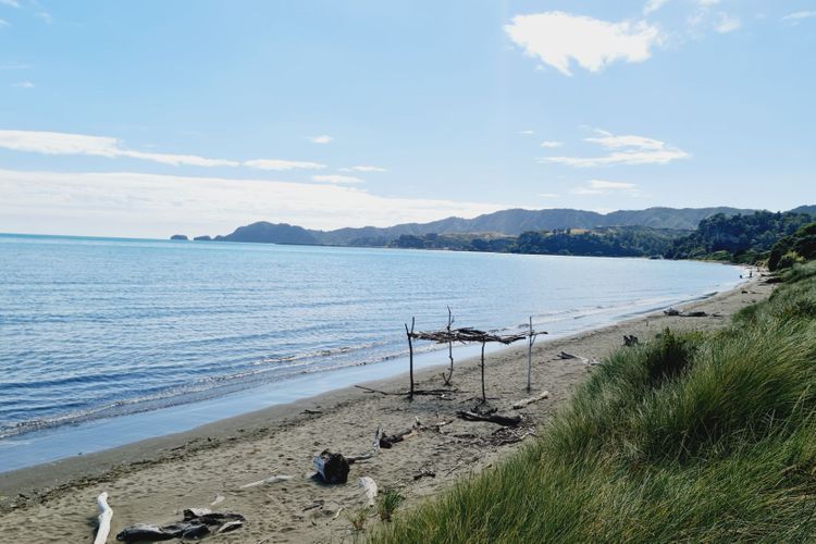 Beachside Bliss