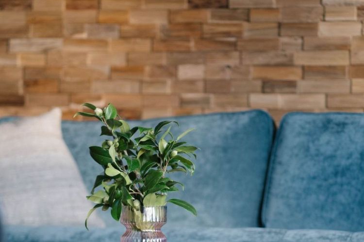 Ngaio Cottage
