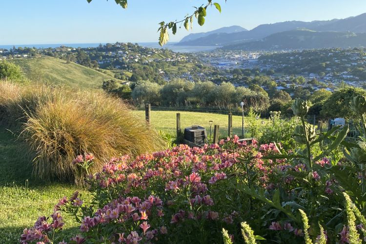 City Views Nelson