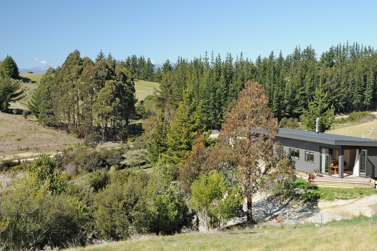 Gum Tree Studio