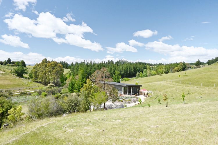 Gum Tree Studio