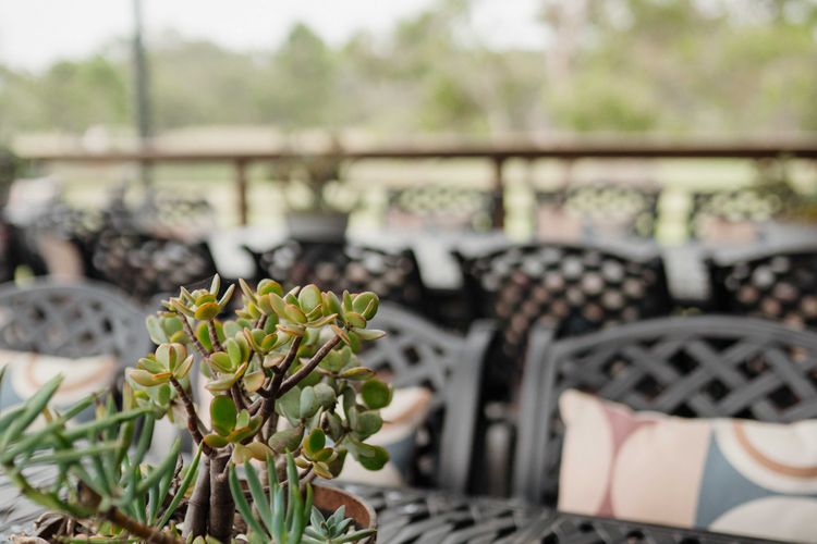 Hunter Valley Lodge and Retreat