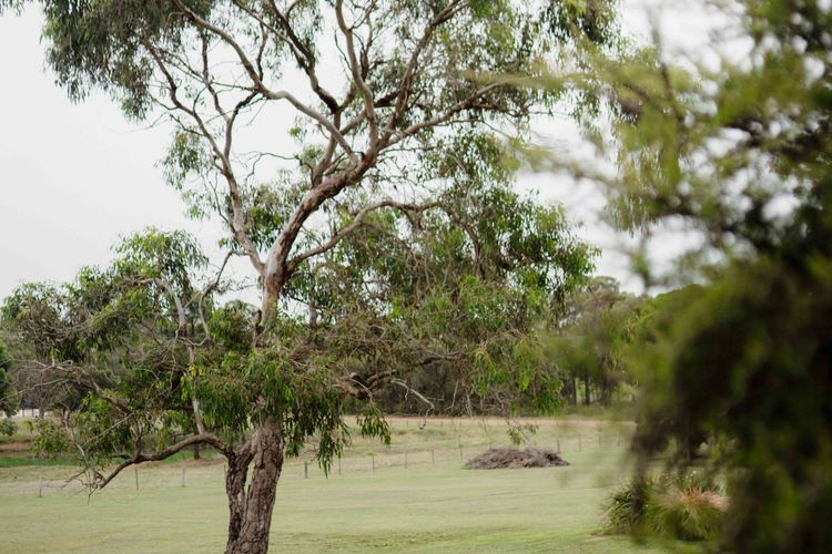 Hunter Valley Lodge and Retreat