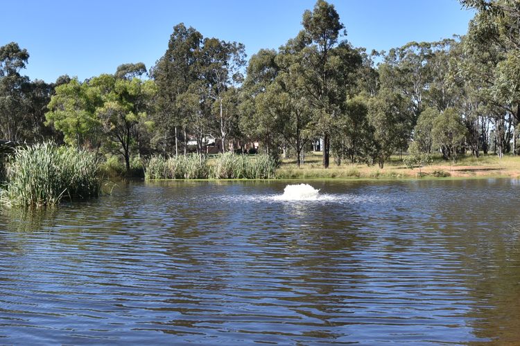 Blaxlands Homestead with Hot Tub walk to Concerts, Weddings and Wineries