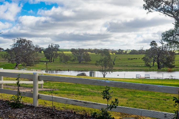 Mollison Park Farm