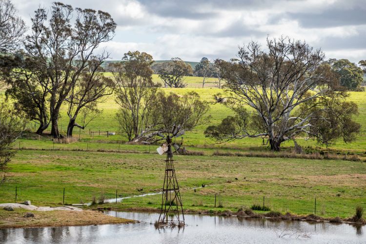 Mollison Park Farm