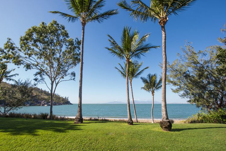 Picnic Beach’scape