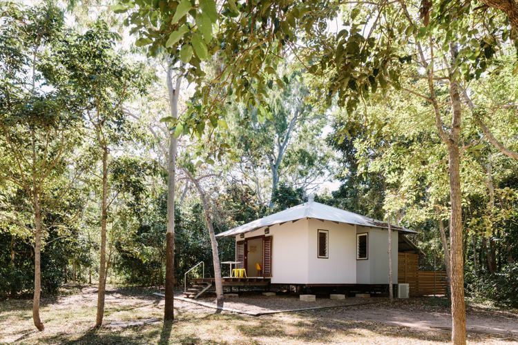 The Little Bush Hut