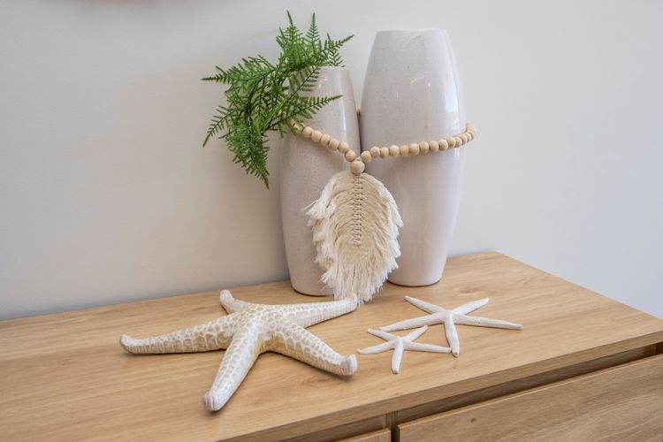 Decoration from the sea